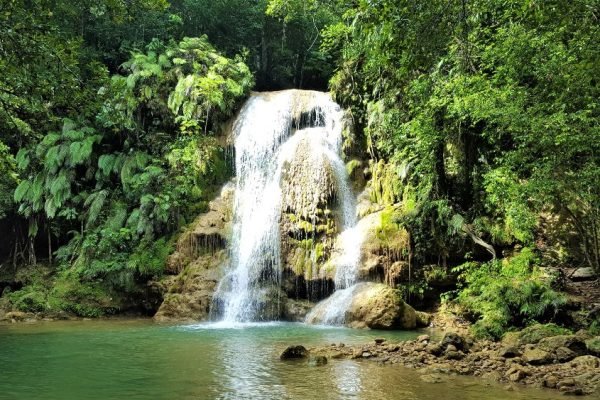 Domrep- tours (9) Domrep- tours